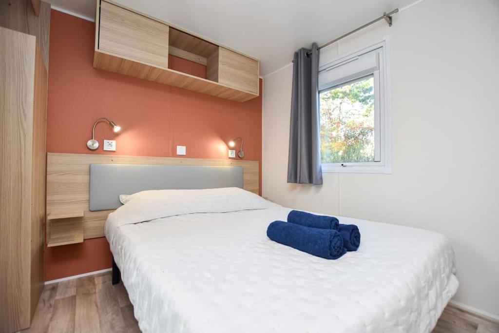 Apartmán La Roseliere ❁ Piscine ❁ Tranquillite Saint-Hilaire-de-Riez Exteriér fotografie